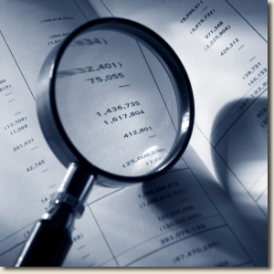 Forensic Accounting / Fraud Investigation